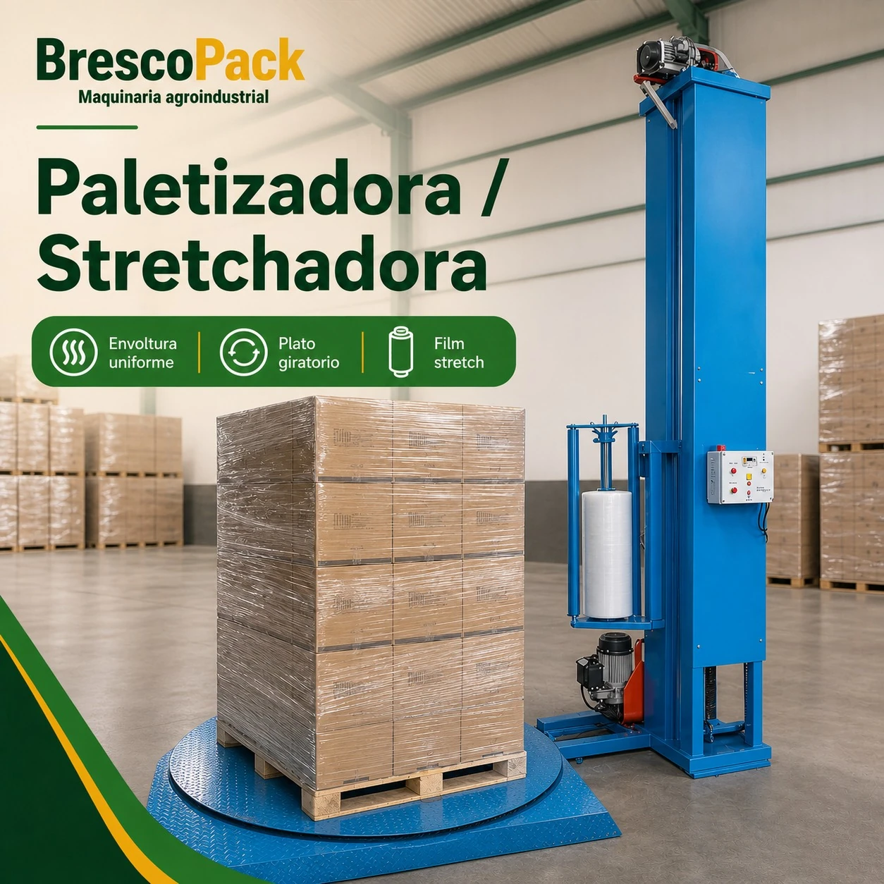 Paletizadora / Stretchadora: detalle 1